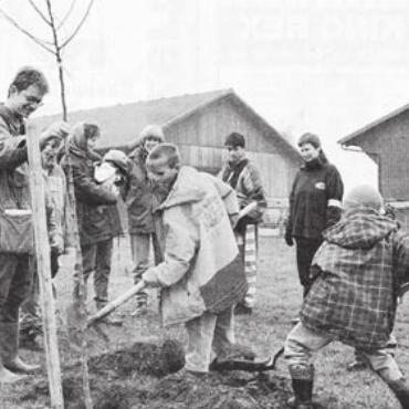 Wurzeln schlagen - «Baumgeschenke» wurden zum Beispiel in Boswil eingepflanzt. Bild: Archiv