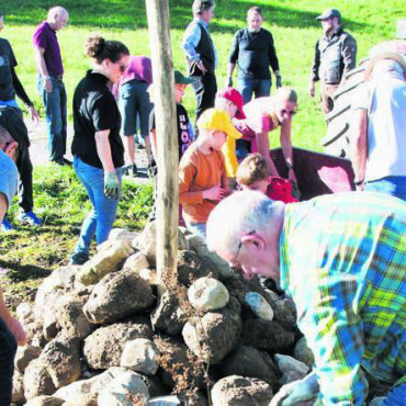 Engagement für die Natur - Die Mitglieder des Rotary Clubs Freiamt beim Erstellen der Kleinstruktur. Bild: zg