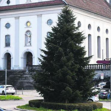 Nach Mitternacht wird es dunkel - Der Weihnachtsbaum auf dem Kirchenplatz steht bereits. Die Beleuchtung wird ab Dezember erfolgen, allerdings mit Einschränkungen. Bild: dm