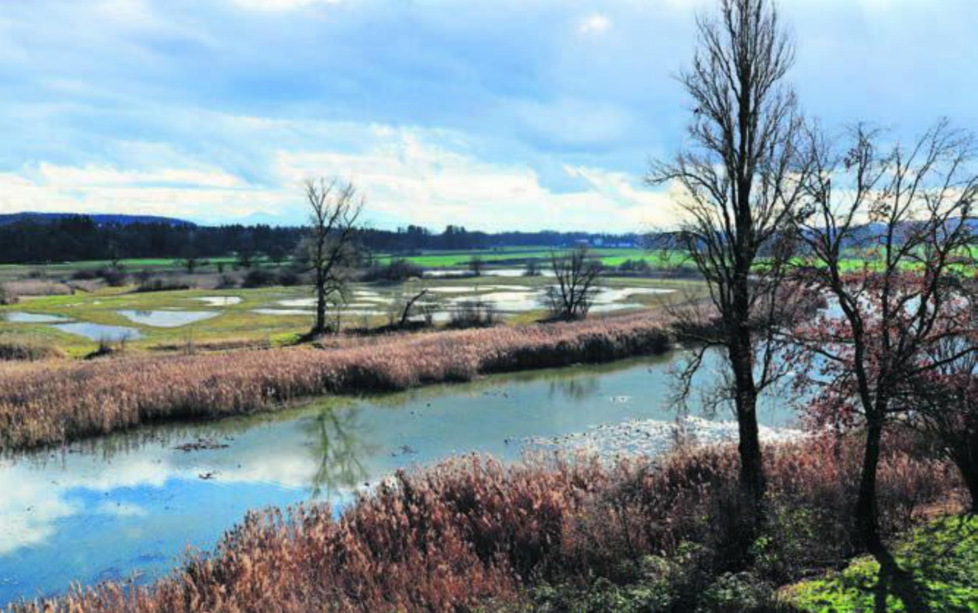 Die Auenlandschaft der Stillen Reuss ist ein Teil des Natur- und Kulturlandschaftserbes. Bild: zg