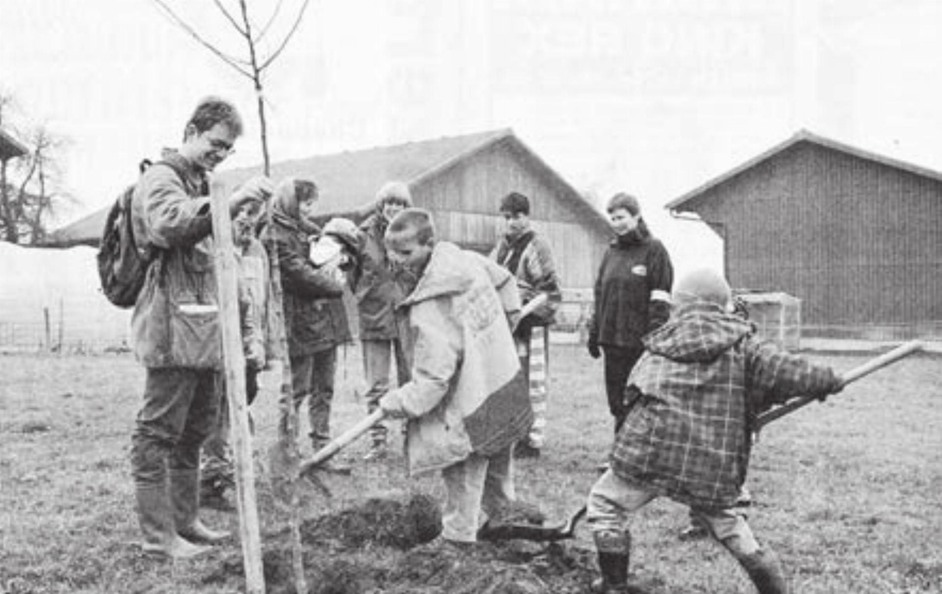 «Baumgeschenke» wurden zum Beispiel in Boswil eingepflanzt. Bild: Archiv