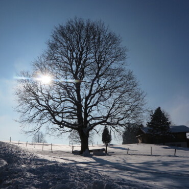 Winterstimmung an Faltschen fotografiert von Paul Wermuth - Bild: Paul Wermuth