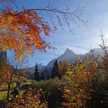 Goldener Herbst im Kiental II. Bild: Paul Wermuth