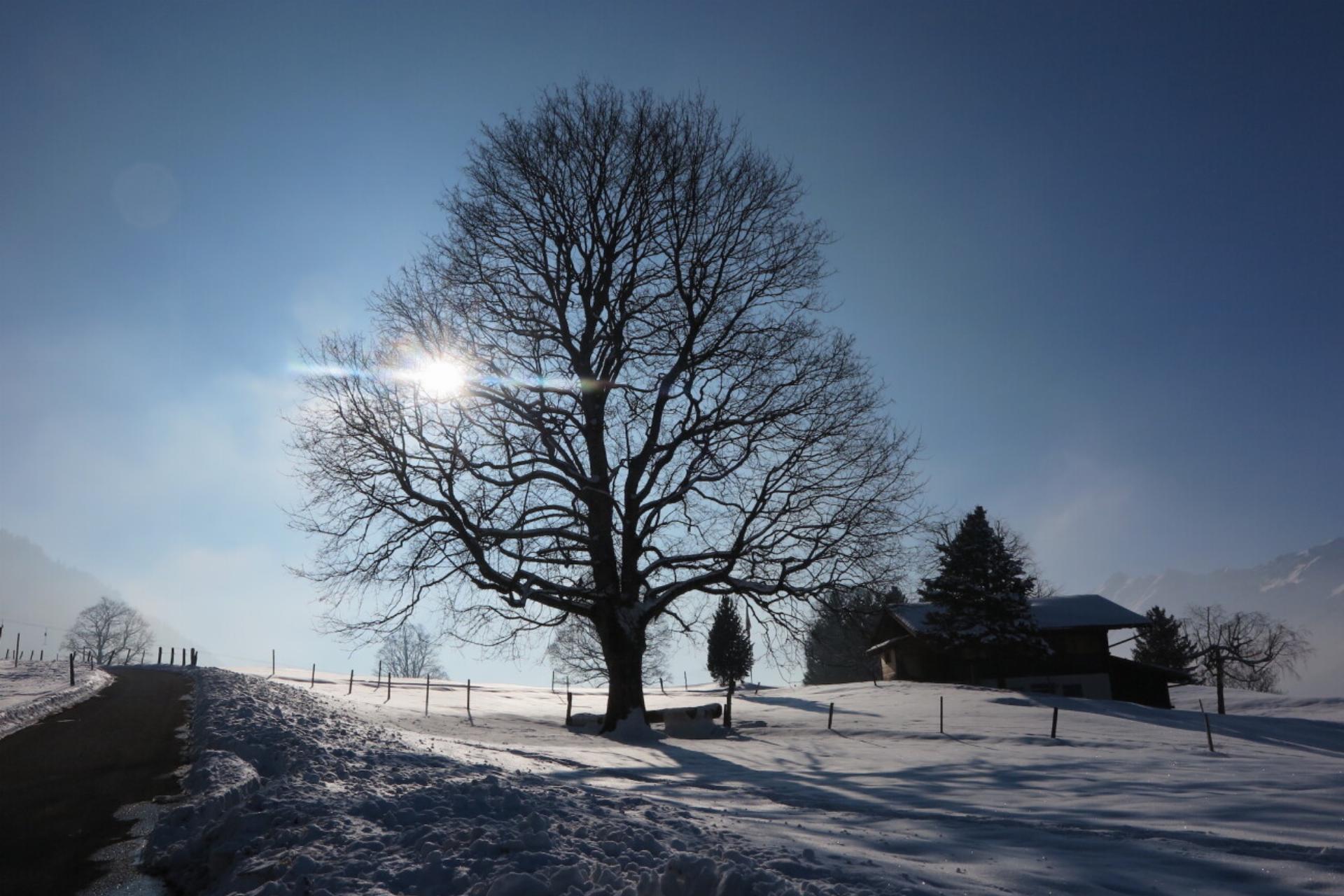 Winterstimmung an Faltschen fotografiert von Paul Wermuth