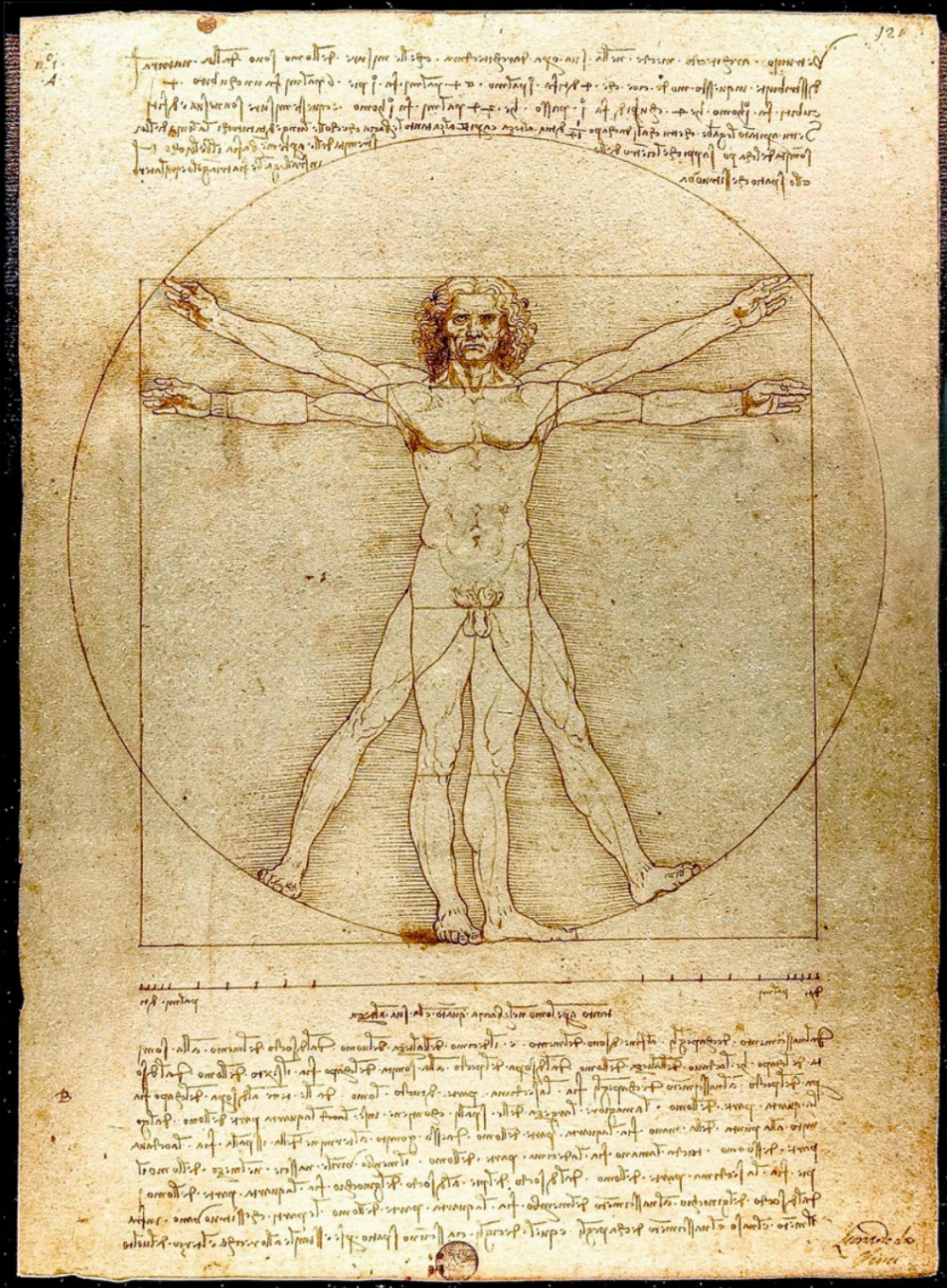 Math trifft Kunst: Leonardo da Vincis «Vitruvianischer Mensch» ist auch eine Art Studie für Proportionen und Symmetrie. BILD: PIXABAY