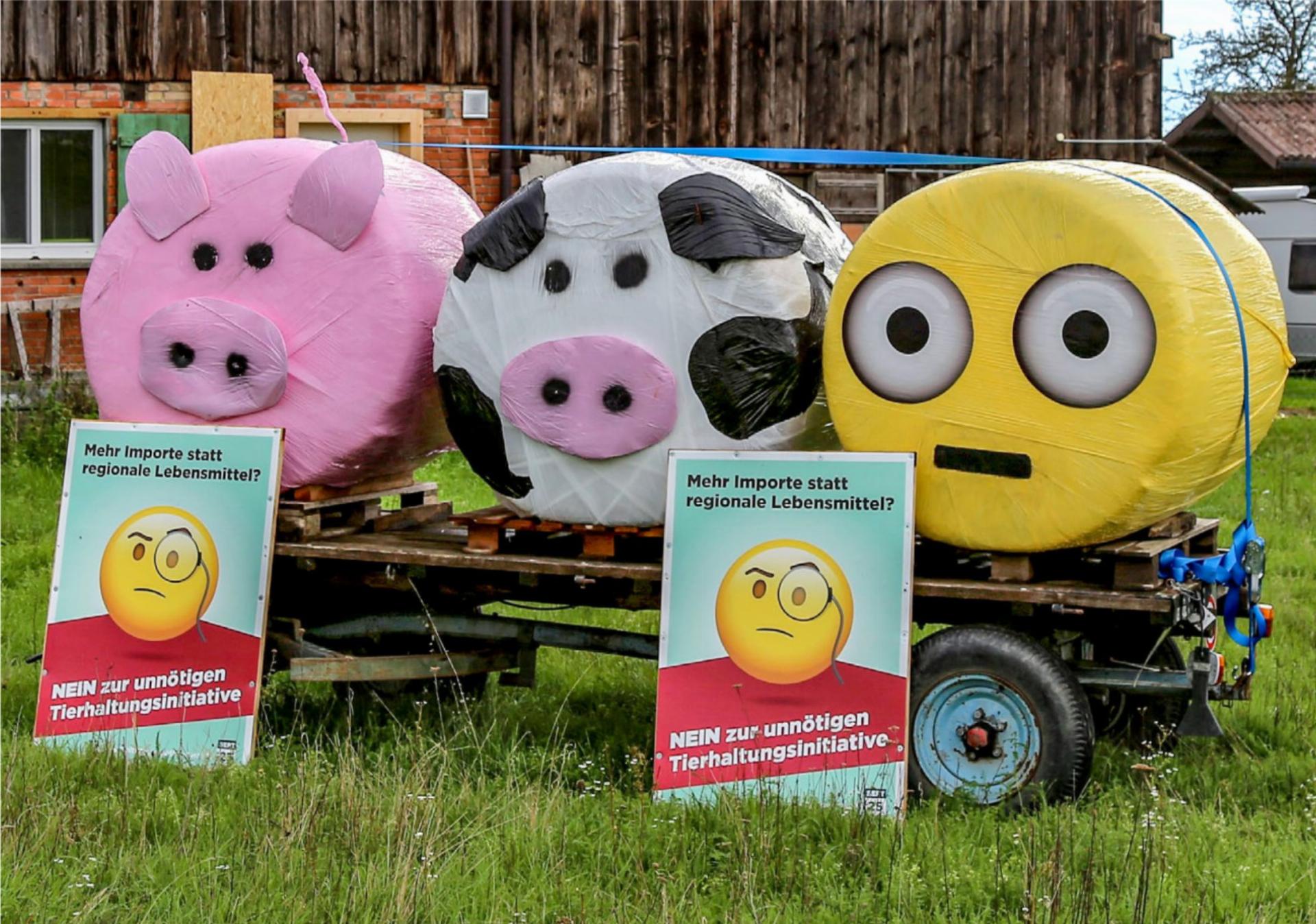 Schweine und Emojis: Im ganzen Land hatten Bauernbetriebe für ein Nein zur MTI geworben. BILDER: ZVG / RENATE HODEL