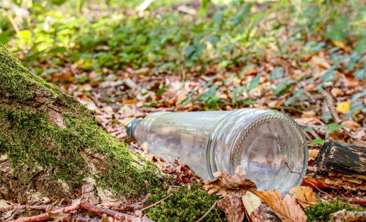 Entsteht hier der nächste Waldbrand? BILD: MARNAG / STOCK.ADOBE.COM