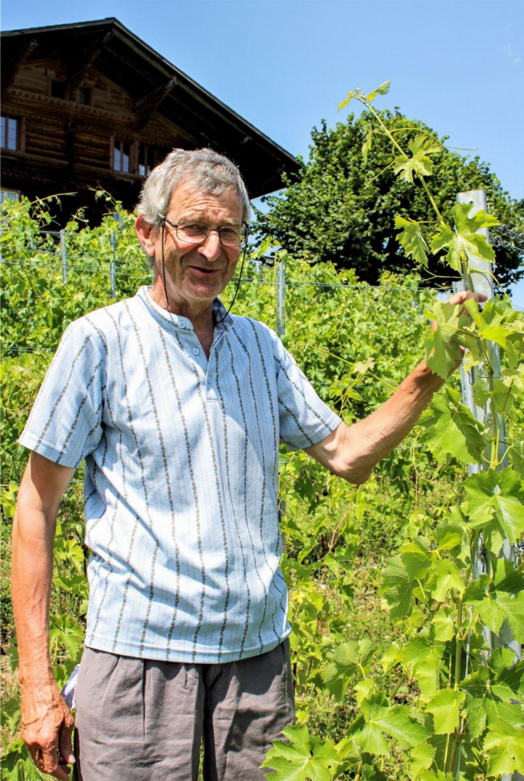 ExBankleiter wird Hobbywinzer