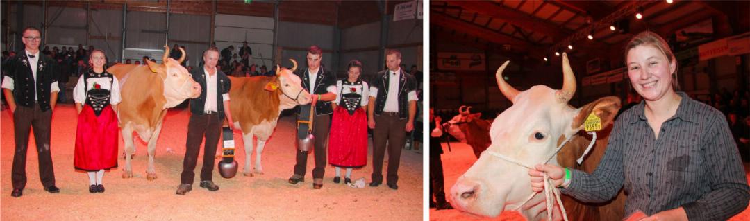 «Ringman» und «Line-up» an der Frutigtaler Eliteschau