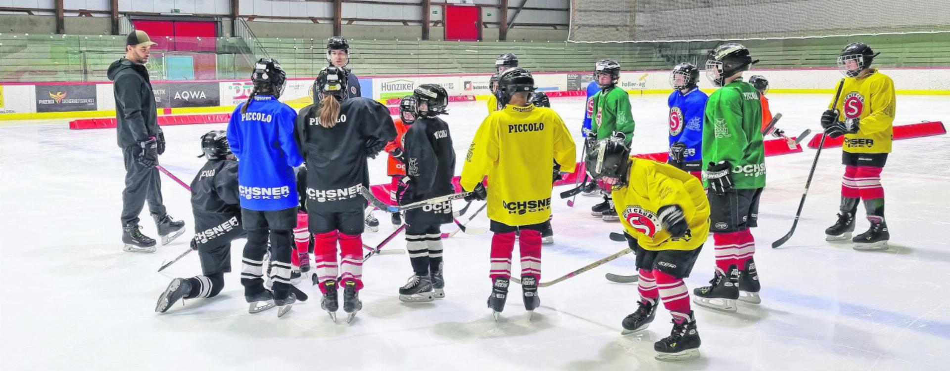 Den Kindern den Eishockeysport näher bringen. Das Stehen auf den Kufen ist nicht einfach. Fotos: zVg
