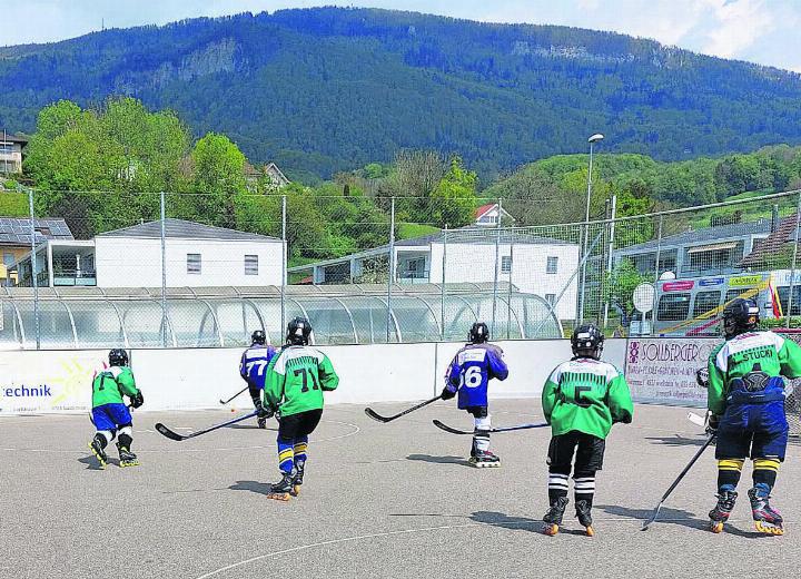 Z-Fighters Oberrüti-Sins: Minis gewinnen bei Premiere mit 12:5. Foto: zVg