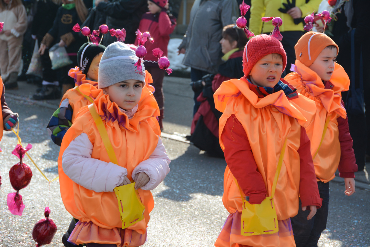 Fasnachtsumzug in Muri 2015