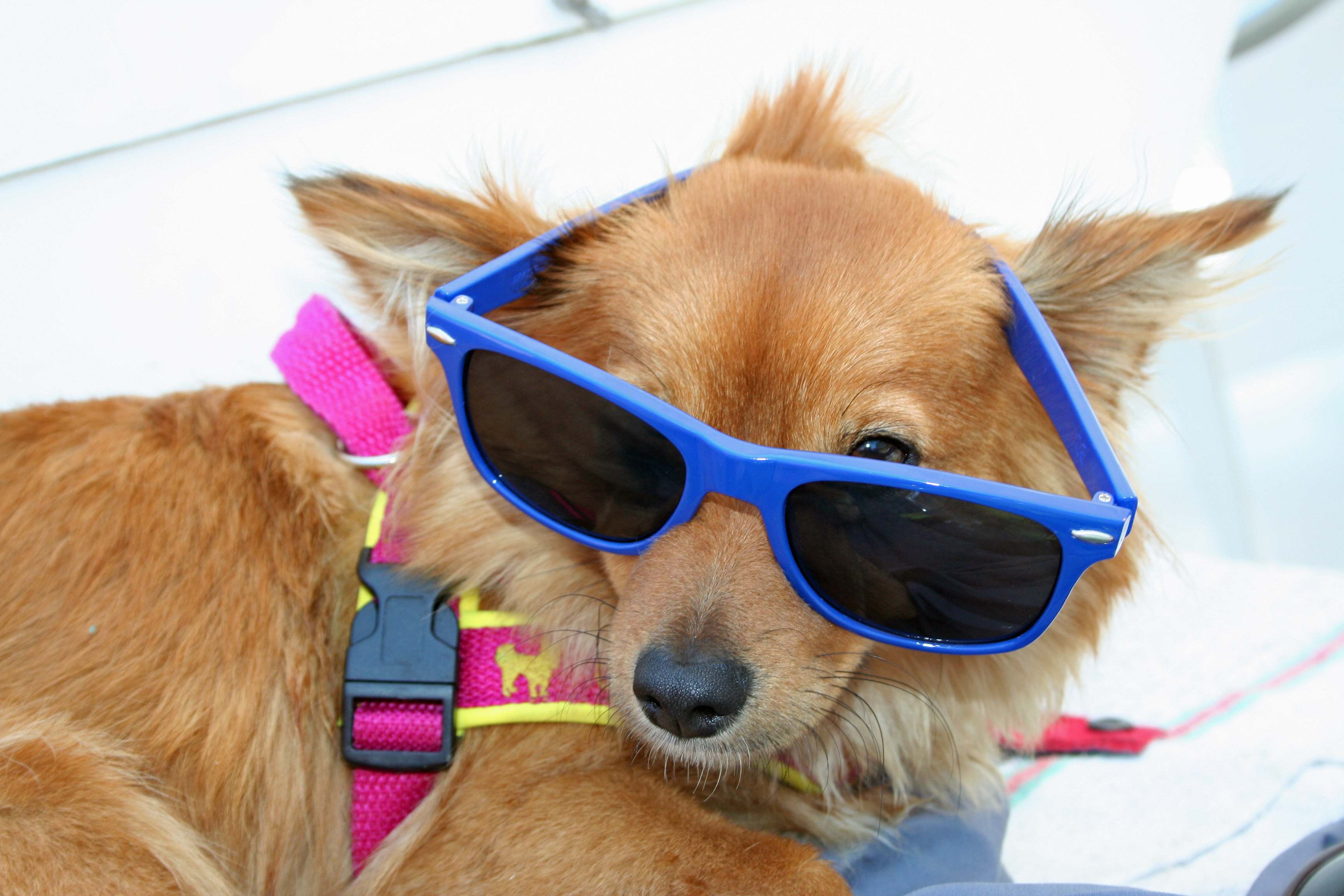 Leserbilder Sommer 2013