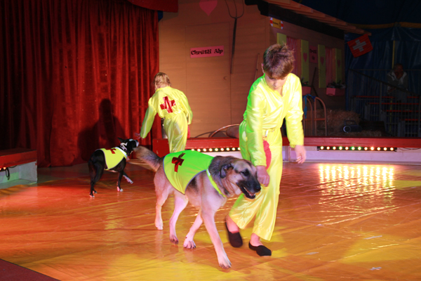 Zirkus Biber