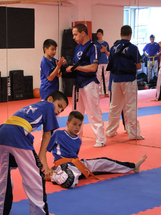 Ein Abend in Rocco Ciprianos Dojo