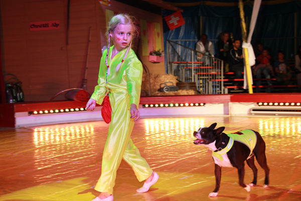 Zirkus Biber