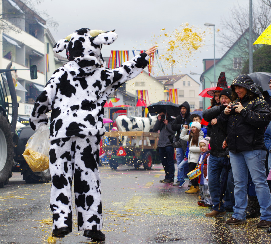 Fasnachtsumzug Wohlen 2016