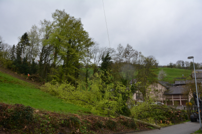 Heli-Einsatz beim Schloss