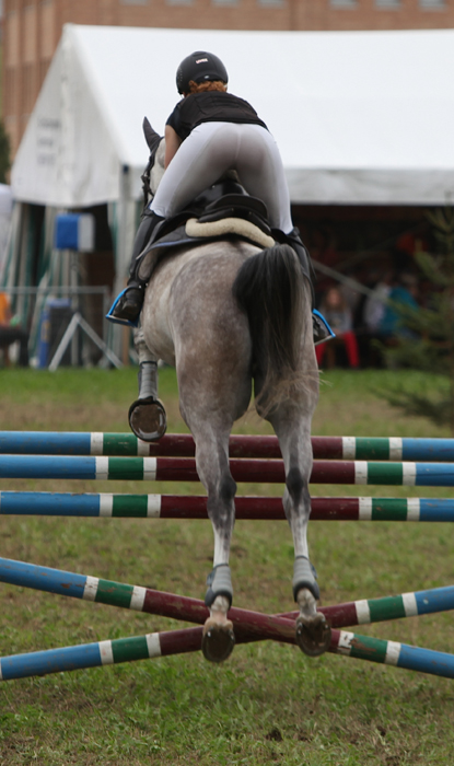 Springkonkurrenz Wohlen 2014