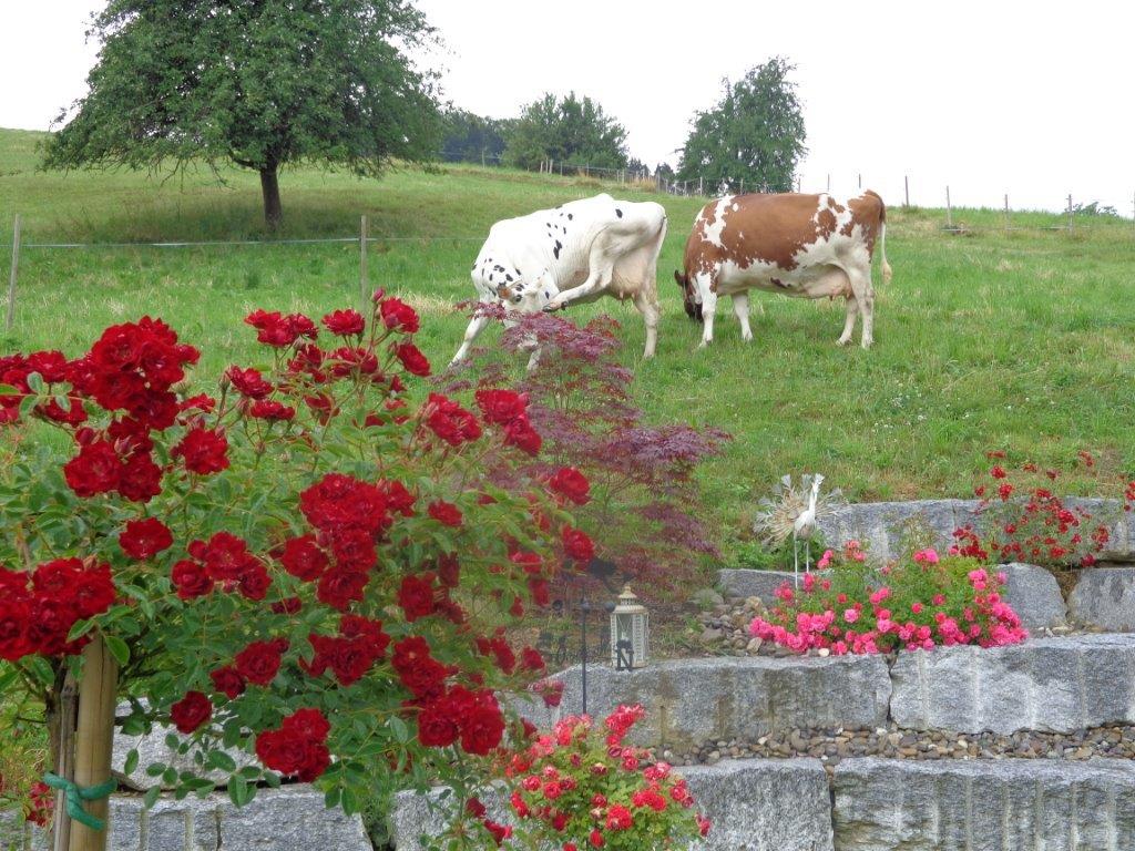 Ferienbilder 2015