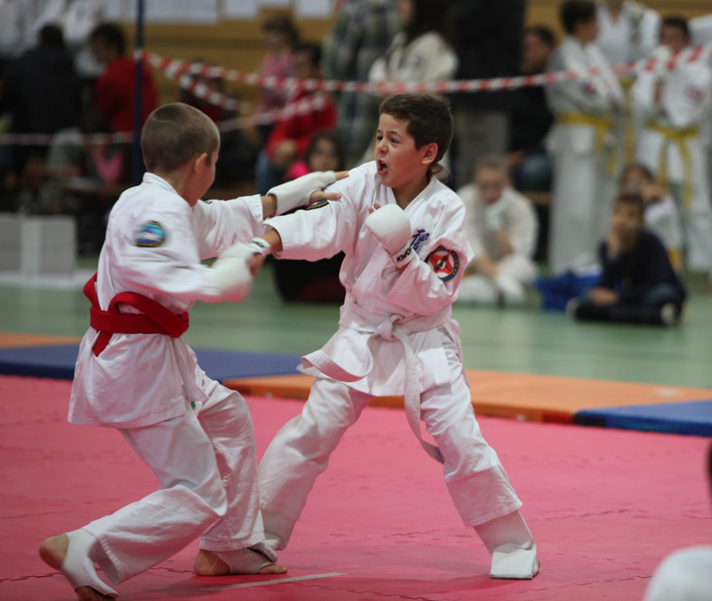 Kyokushinkai Schweizer Meisterschaft Wohlen 2013