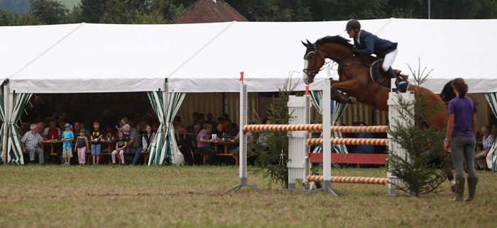 Springkonkurrenz Wohlen 2014