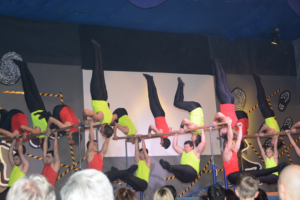 Turnshow Fischbach-Göslikon 2017