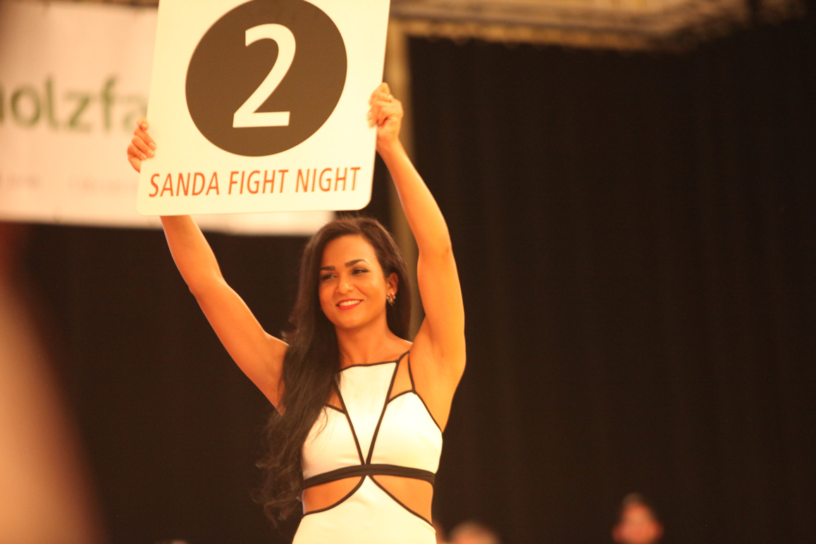 Sanda Fight Night 2016