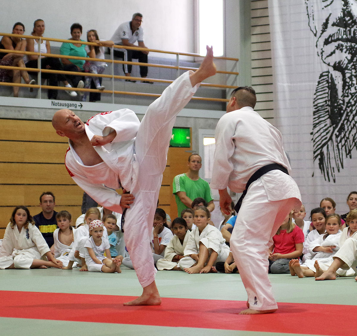 Budo-Tag 2015
