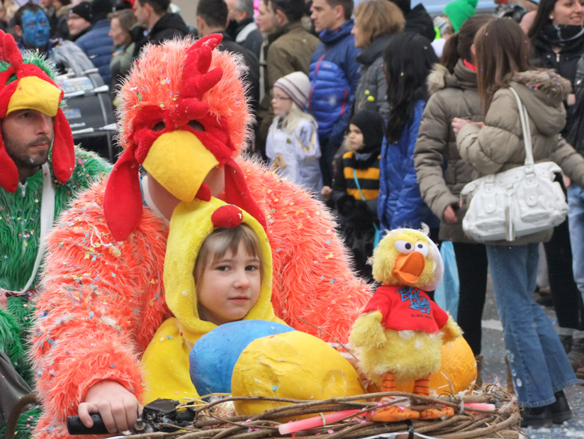 Fasnachtsumzug Wohlen