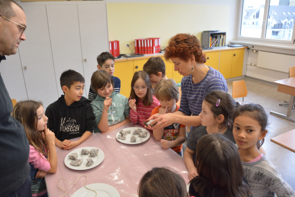 Projektwoche der Schule Villmergen