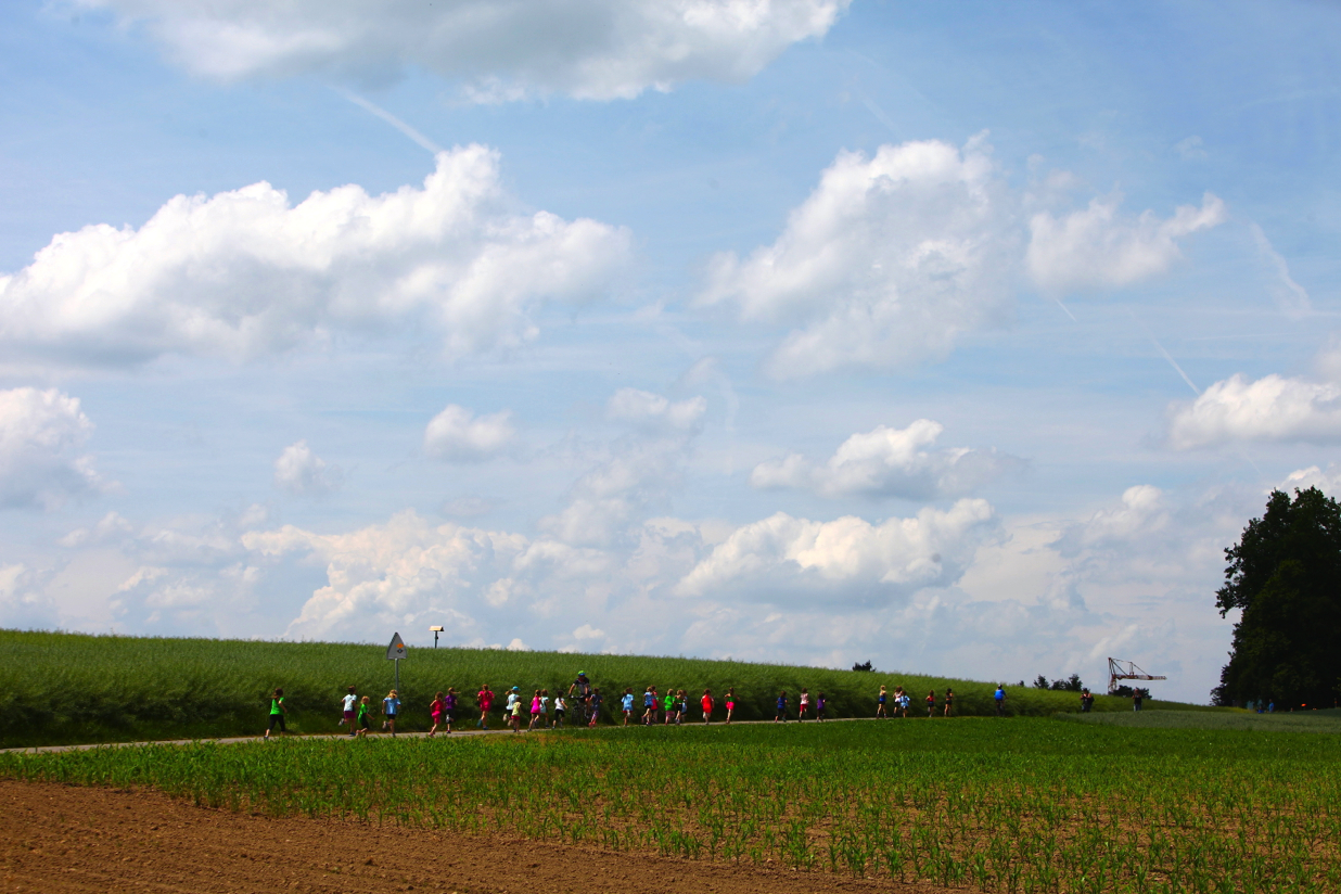 Pfingstlauf 2017