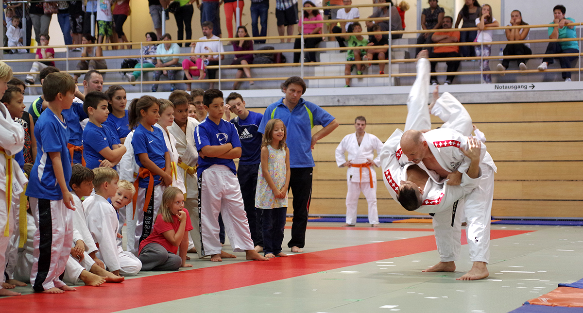 Budo-Tag 2015