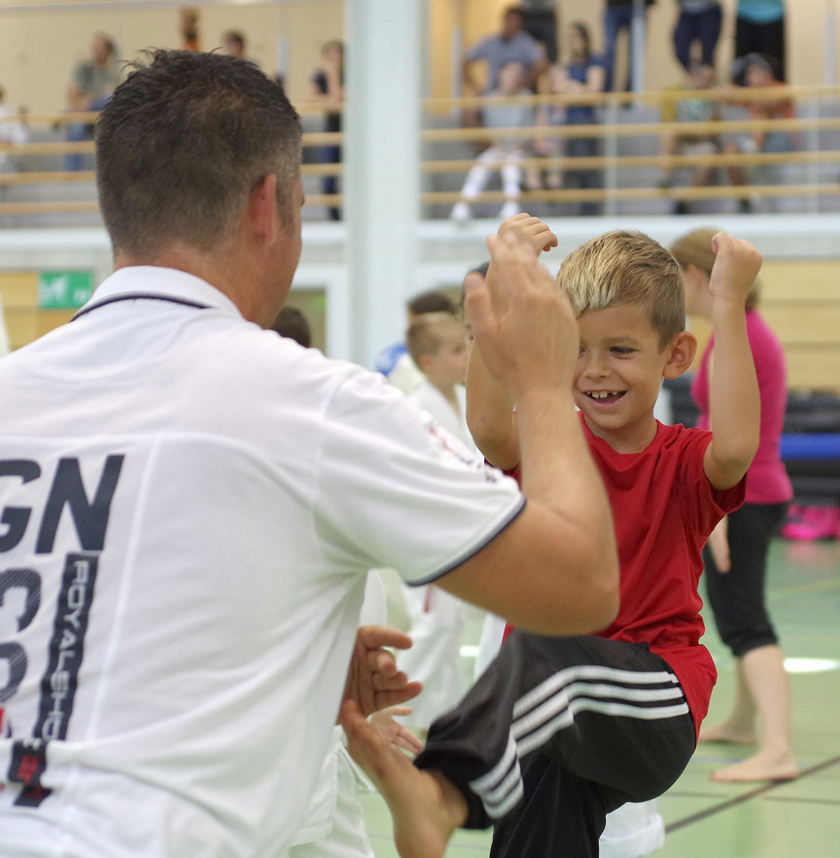 Budo-Tag 2015