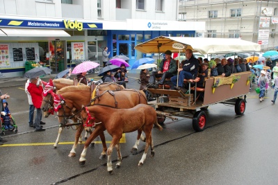 Jufe in Meisterschwanden