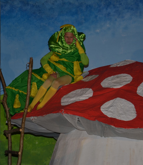 Jugendzirkus Arabas Bremgarten