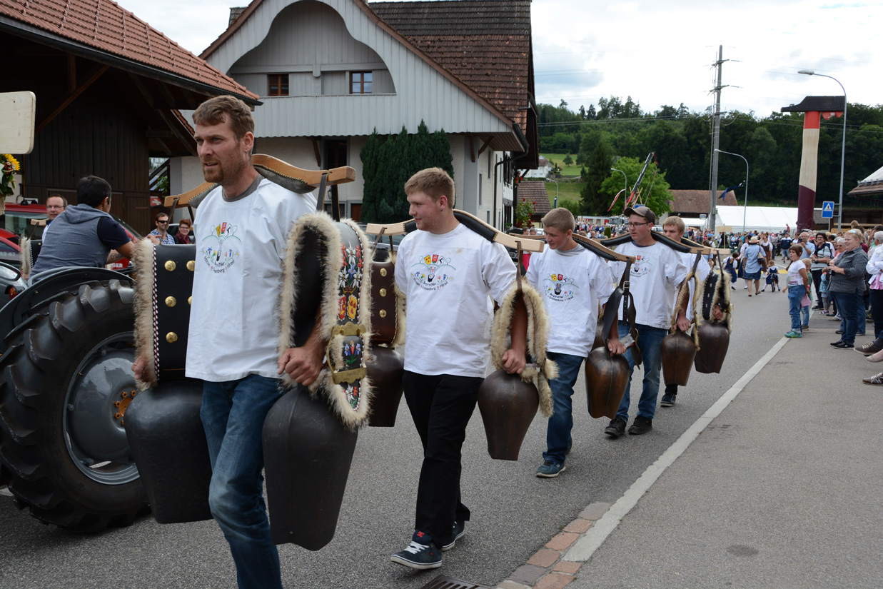 Trychlerfest Rottenschwil 2017