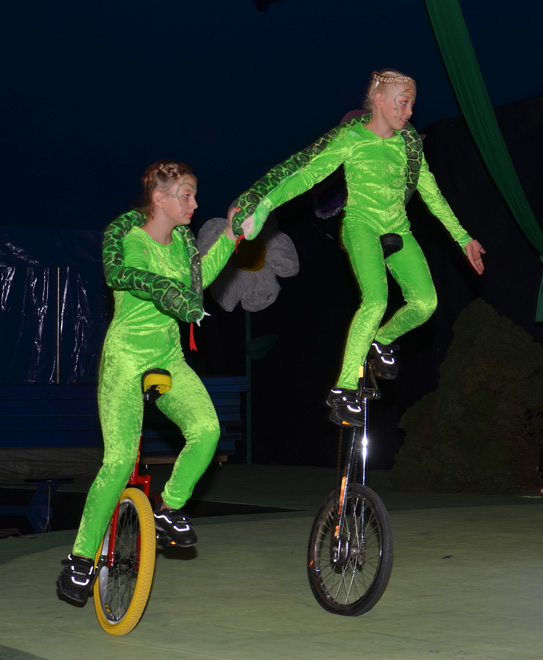 Jugendzirkus Arabas Bremgarten