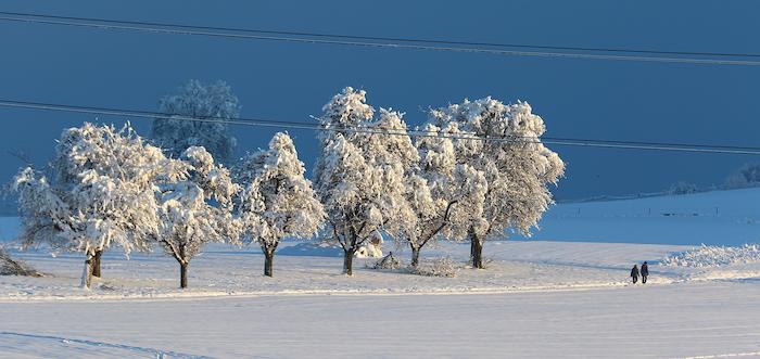 Freiamt versinkt im Schnee