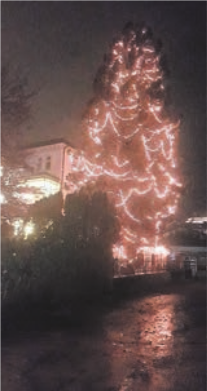 Seit dem Wochenende leuchtet der Weihnachtsbaum an der Jurastrasse wieder. Bilder: chh