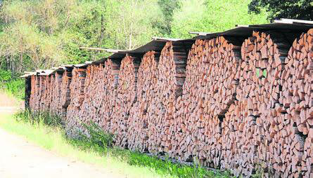 Das Forstamt Wagenrain hat sich bereits vor zwei Jahren mit Brennholz eingedeckt.