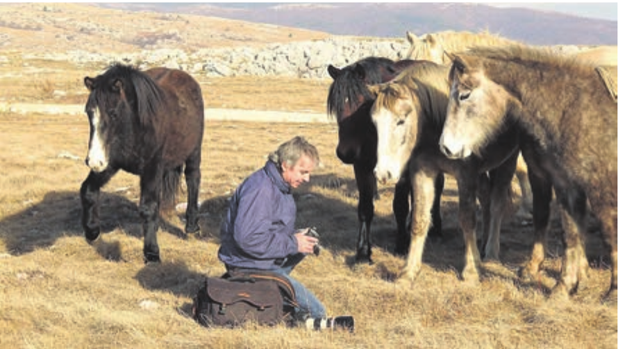Markus Saxer ist immer auf der Suche nach neuen Bildern. Zu seinen Lieblingsmotiven gehören frei lebende Pferde. Bild: zg
