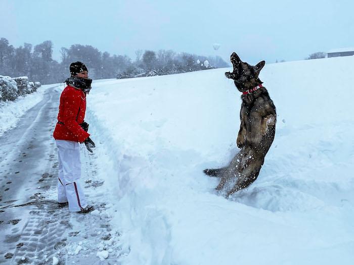 Freiamt versinkt im Schnee