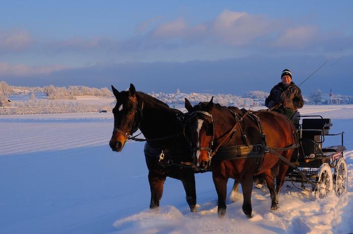 Freiamt versinkt im Schnee