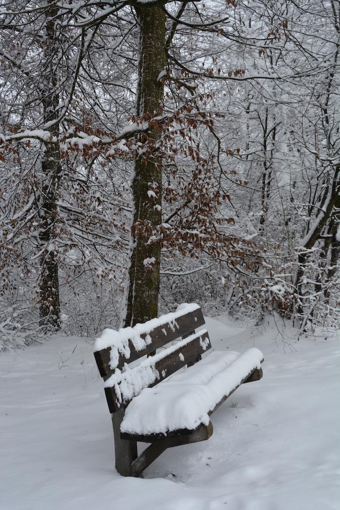 Freiamt versinkt im Schnee