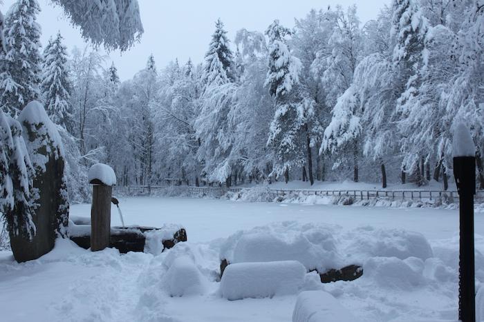 Freiamt versinkt im Schnee