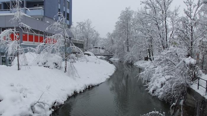 Freiamt versinkt im Schnee