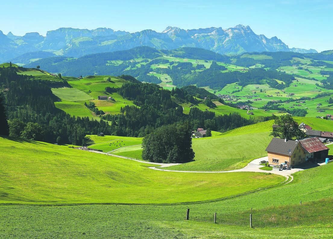 Ein Bild ihres Wander-Kurzurlaubs ins Appenzellerland schickte Heidi Plantera aus Villmergen. «Die Wanderung führte uns durch die wunderschöne hügelige Landschaft. Bei der ganzen Wanderung hatten wir eine wunderbare Aussicht auf die Alpsteinkette.»