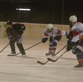 Eishockey: Wohlen und Fi-Gö vor Rückrunde