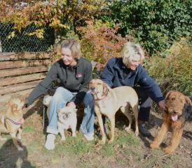 Neues Hundehotel in Villmergen
